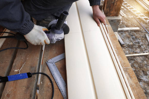 Best Custom Siding Design  in Kewaunee, WI